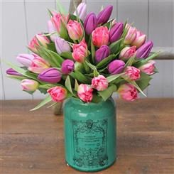 Provincial Tulip Vase