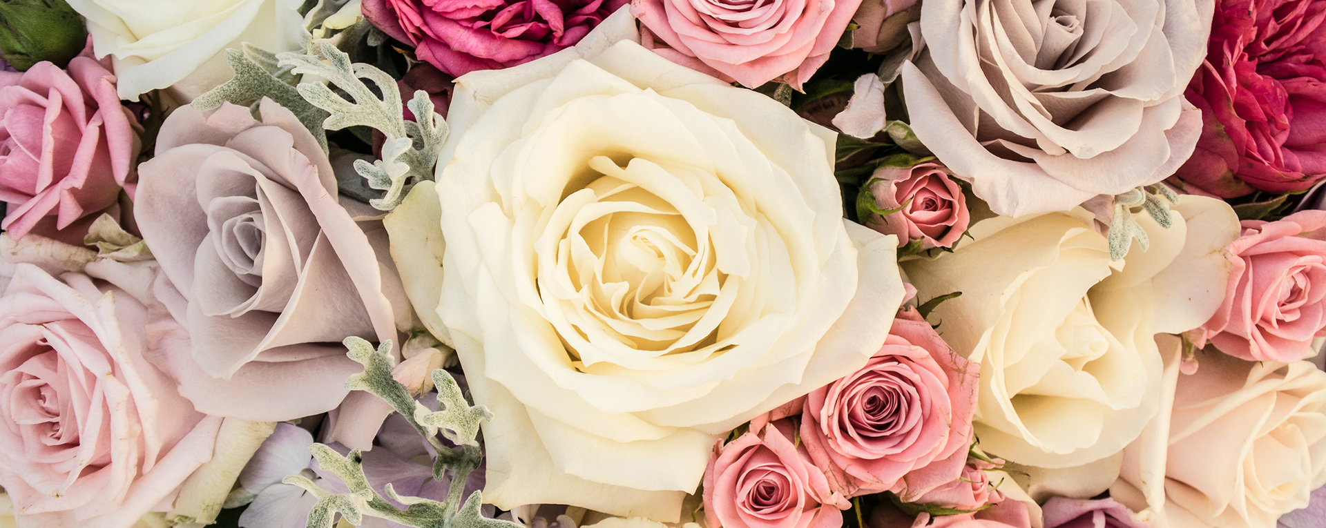 A Feast of Flowers Florist in NewcastleunderLyme