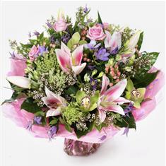 Only the best  16-01-2023 20 36 16